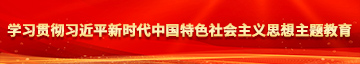 操大逼内射网站学习贯彻习近平新时代中国特色社会主义思想主题教育