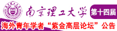 欧美潮喷操逼南京理工大学第十四届海外青年学者紫金论坛诚邀海内外英才！